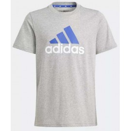 Adidas Junior U Bl 2 Tee T-Shirt Grigia Logo Blu Scritta Bianca Junior - Giuglar