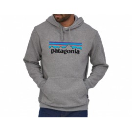 Patagonia M'S P-6 Logo...